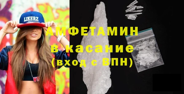 шишки Кодинск