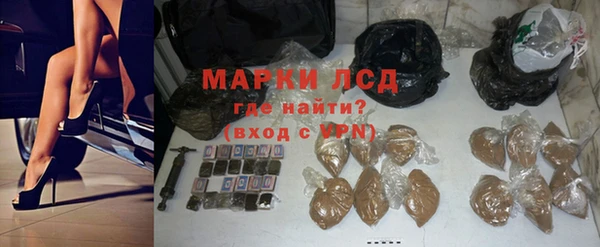 шишки Кодинск