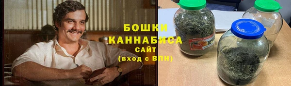 прущие грибы Козловка