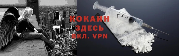 шишки Кодинск