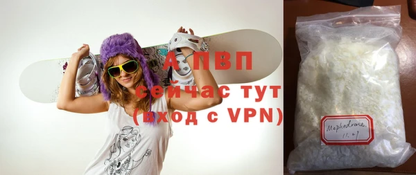 шишки Кодинск