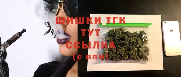 прущие грибы Козловка