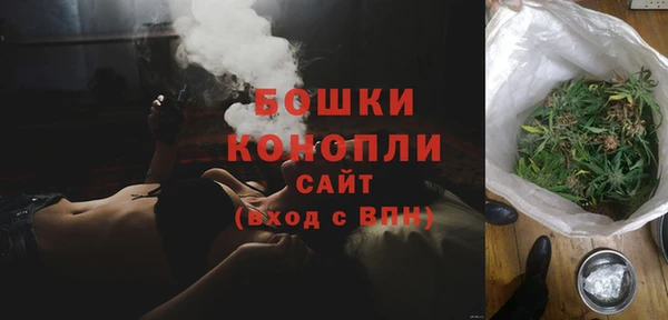 сатива Корсаков
