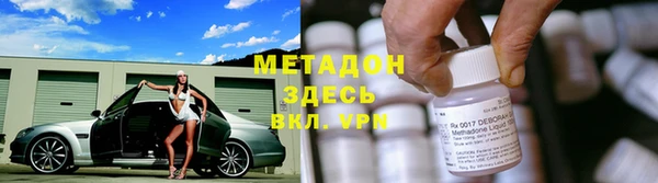 шишки Кодинск