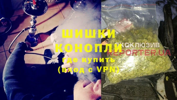 сатива Корсаков