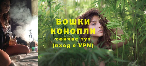 шишки Кодинск
