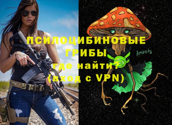 дурь Коряжма