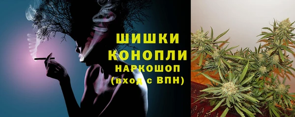 сатива Корсаков